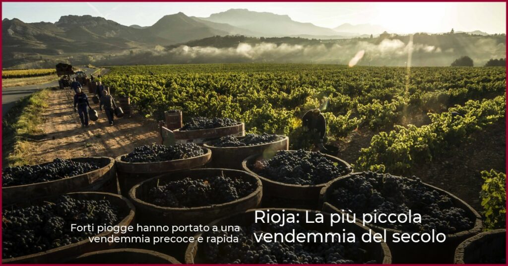 Rioja: La più piccola vendemmia del secolo