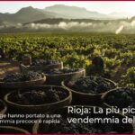 Rioja: La più piccola vendemmia del secolo