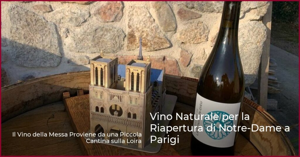 Vino Naturale per la Riapertura di Notre-Dame a Parigi