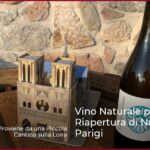 Vino Naturale per la Riapertura di Notre-Dame a Parigi