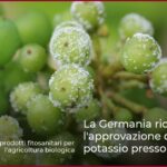 La Germania richiede l’approvazione del fosfato di potassio presso l’UE