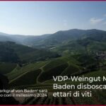 VDP-Weingut Markgraf von Baden disboscamento 60 ettari di viti