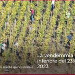 La vendemmia in Francia è inferiore del 23% rispetto al 2023