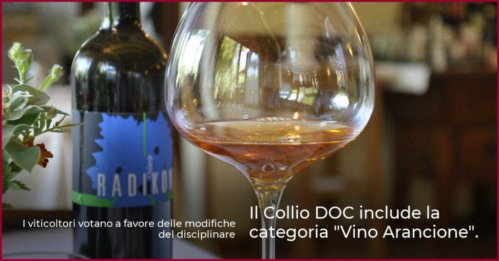 Il Collio DOC include la categoria “Vino Arancione”.