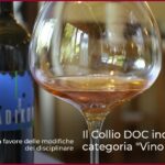 Il Collio DOC include la categoria “Vino Arancione”.