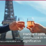 Francia: il consumo di alcol diminuisce in modo significativo