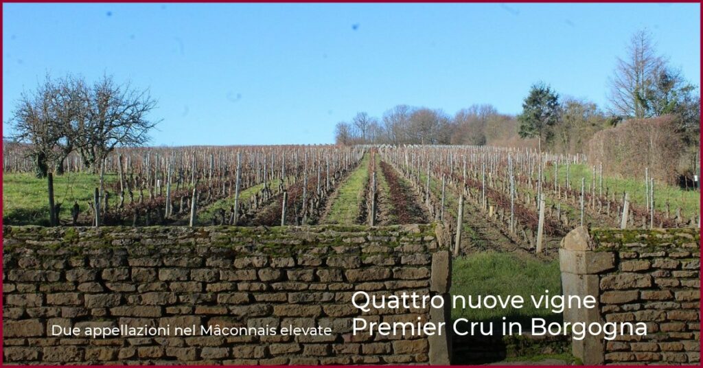 Quattro nuove vigne Premier Cru in Borgogna