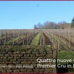 Quattro nuove vigne Premier Cru in Borgogna