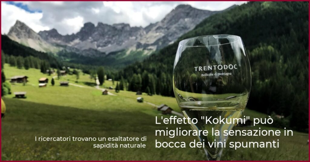 L’effetto “Kokumi” può migliorare la sensazione in bocca dei vini spumanti