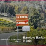 Barolo e Barbaresco sfidano la crisi