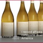 I record all’asta della collezione di vini del Nord America