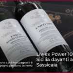 Liv-ex Power 100: Vega Sicilia davanti a Gaja e Sassicaia