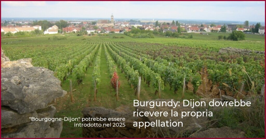 Burgundy: Dijon dovrebbe ricevere la propria appellation