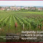 Burgundy: Dijon dovrebbe ricevere la propria appellation